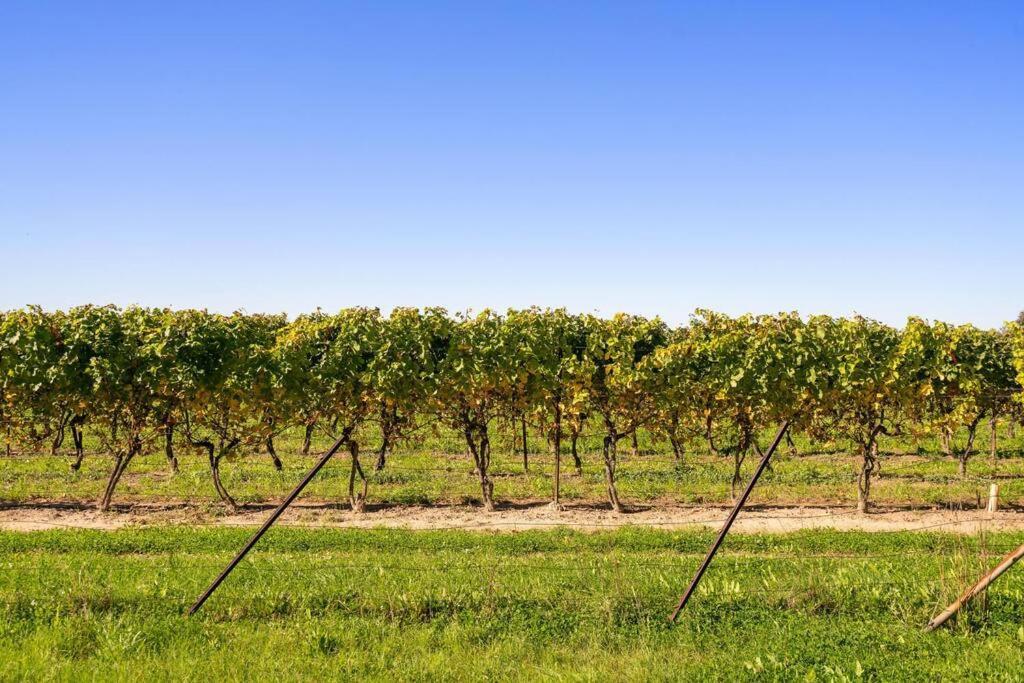 Vila Waterfront Niagara-On-The-Lake Farmhouse On A Vineyard Exteriér fotografie