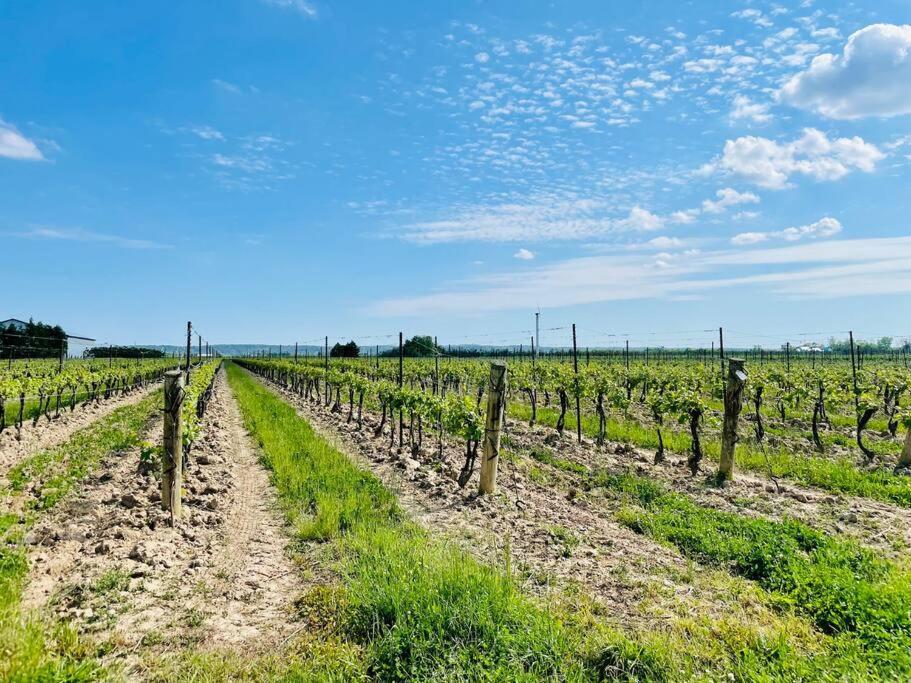 Vila Waterfront Niagara-On-The-Lake Farmhouse On A Vineyard Exteriér fotografie